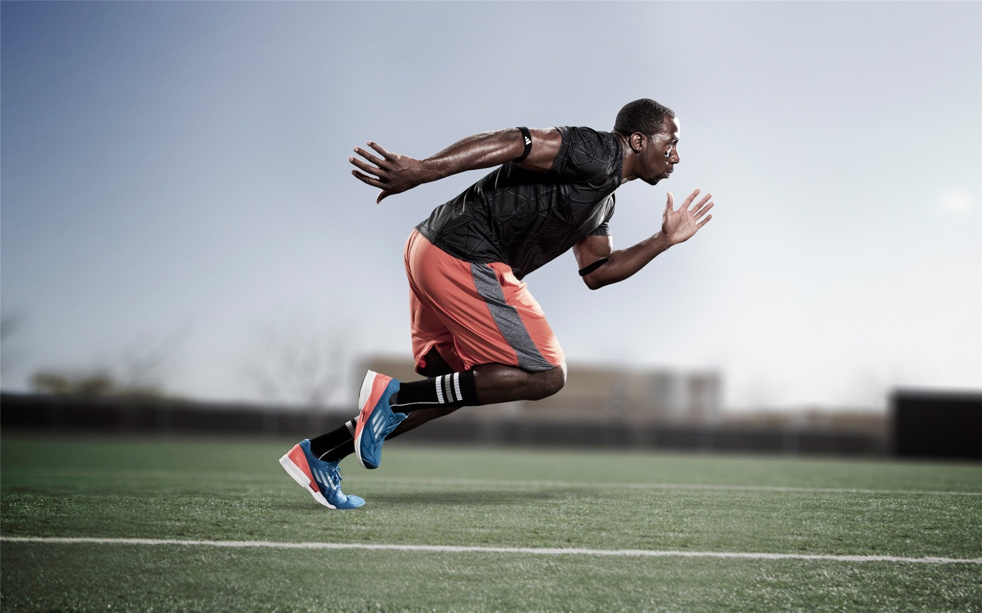 世界杯终章:英雄与奇迹的绽放瞬间,世界杯之路